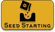 Seed_Starting