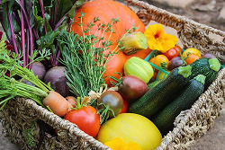 harvesting