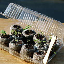 Seed_Starting
